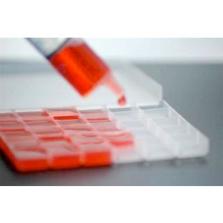 Testosterone 5mg Troche (Quantity: 10)